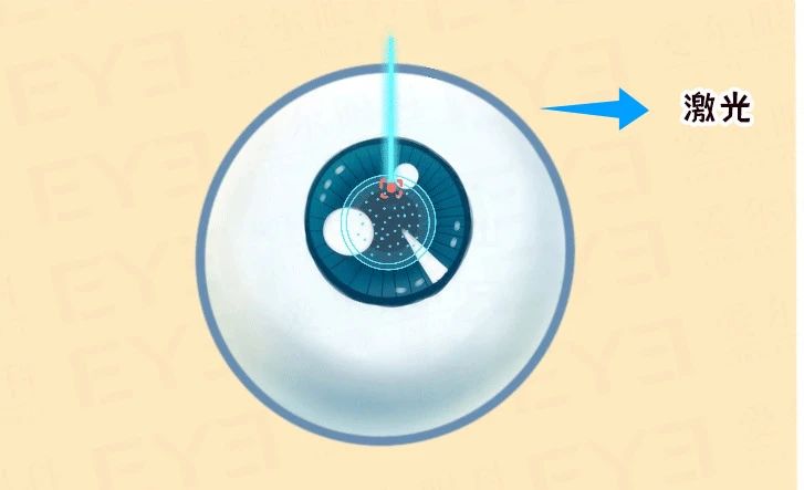 微信圖片_20250408145856