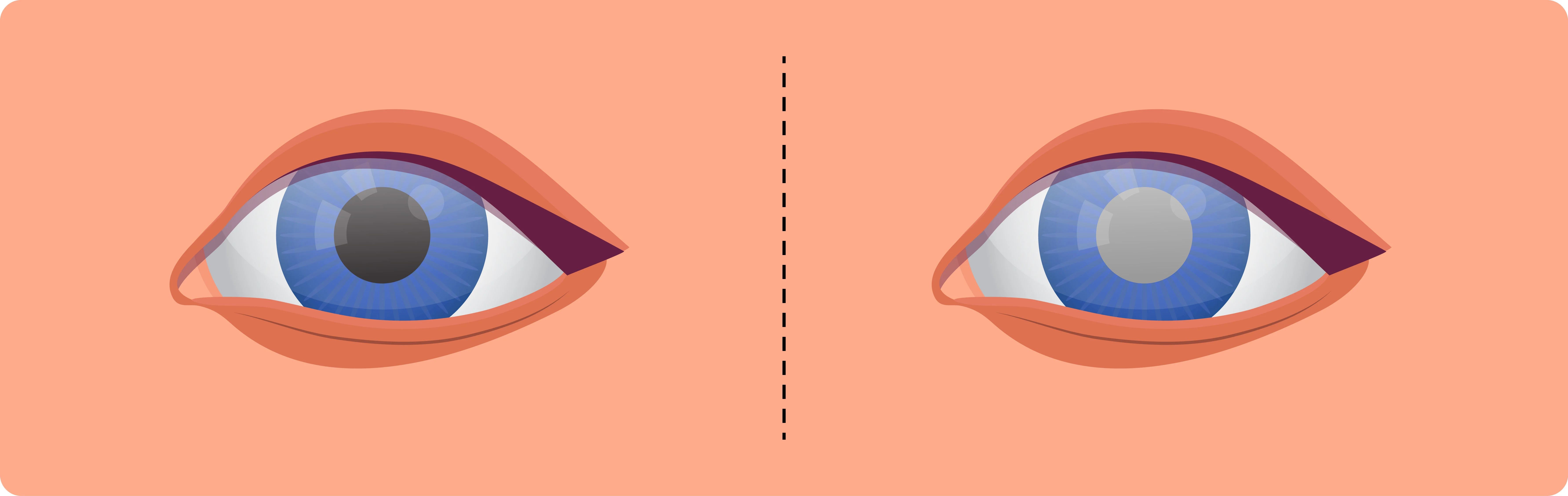 微信圖片_20250730093724