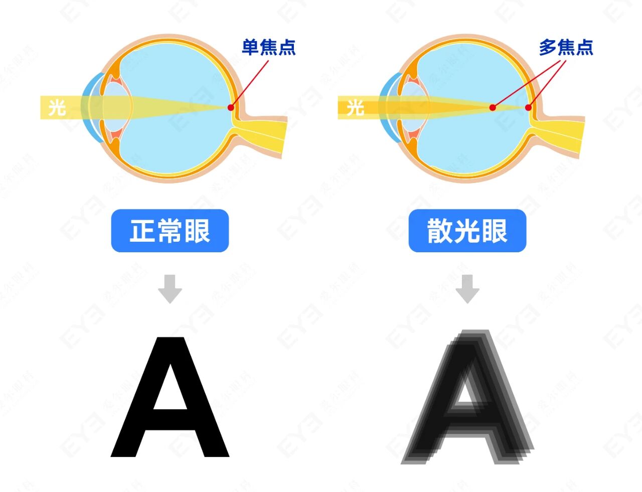 微信圖片_2025-09-12_102925_000