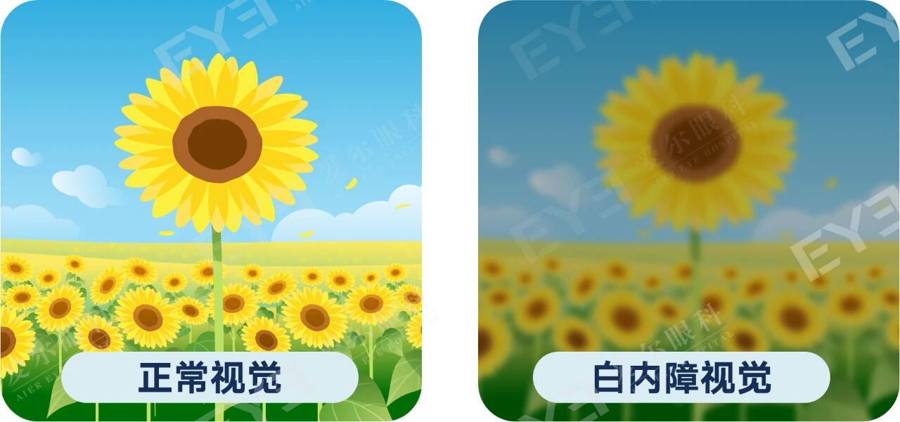 微信圖片_2026-01-07_094815_904